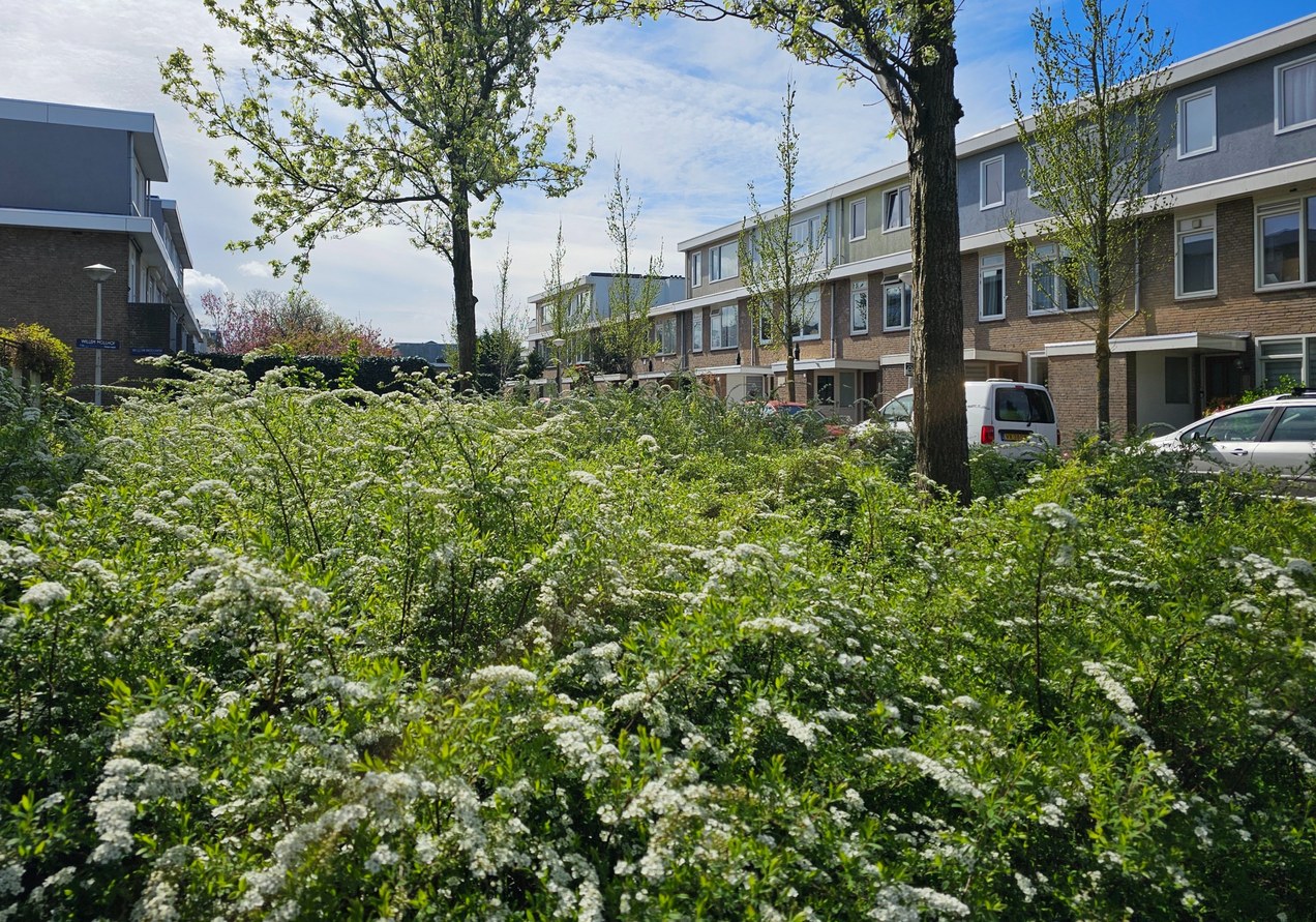 Uitzicht over de sloterplas, februari 2026